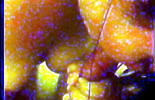 Posted under public, pija, loca, puta
