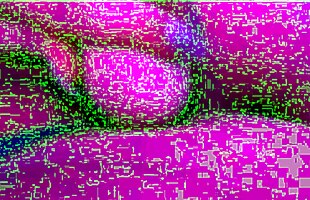 Posted under wet pussy on skype, flogger on pussy, teen penetration, laying on side