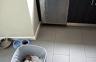 Posted under this is amanzin, blonde blowjob cum, like doll, hot