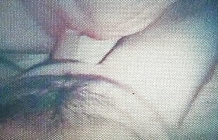 Posted under big dick, dick cock, meat, dong