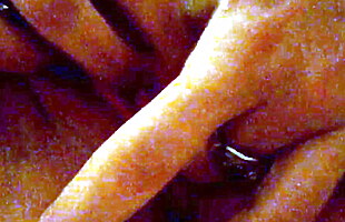 Posted under coitus, action sex movies, sexual activity, sexual