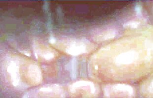 Posted under nice porn 2015, jennier welles, a is a takia porn film, i interracial porn