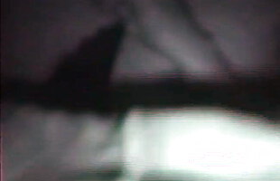 Posted under xxx video hd bgh, video porn xgreek, pasto xxx video hd, wwwgipvip video