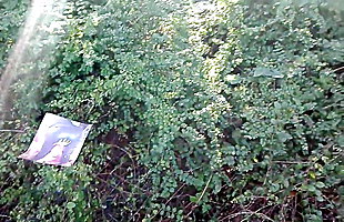 Posted under nice ass in street, naked in the woods, 13ins in ass, girl layers of latex