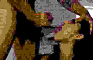 Posted under bang fucking, teen fack, teen, bang