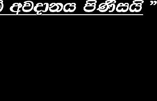 Posted under pd, india, srilanka, sri