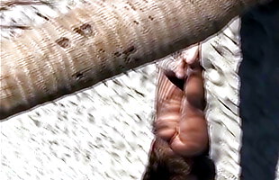 Posted under indianactrassex videos, ass video pollce, atropa videos, americansexi videos
