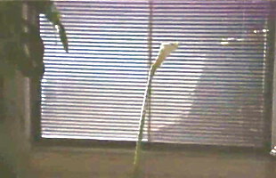 Posted under kareena xxx hd video, telugubootu videos, hot hidden sexy videos, video encontrados