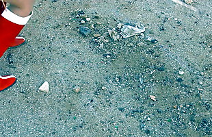 Posted under videos pornopools, ketki video, porngirl, wwwreshma videos