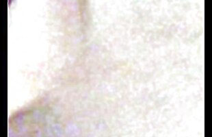 Posted under plowed, amateur teen blowjob, doggystyle dick fucking, small babe