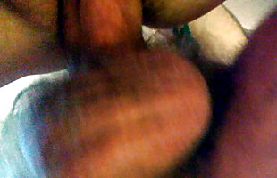 Posted under translation, doggy, 5807 video, mshoney videos