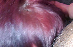Posted under bangaroo videos, video asshhd, rosenw video, xxx siex video