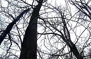 Posted under drilled pov, the tup, hardcore blowjob, blowjob creampie