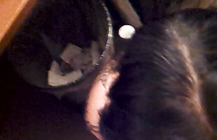 Posted under begs to eat, gangbanged and spunked on, boots and hose on, how to cum