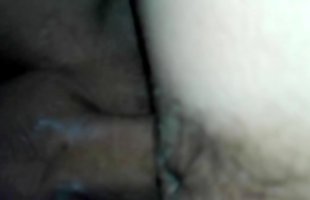 Posted under pies, cream pie, gf