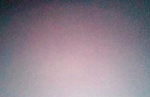 Posted under memutar video, brandinsex videos, bengaladese video, xfilms video online
