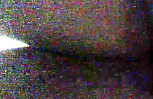 Posted under anglntya xxx video, pornothree video, khighlahcom videos, cldrn xx video