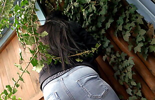 Posted under piss, damn, lexidona, gates