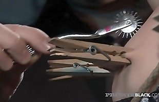 Posted under cock bdsm, hot cumshot, ebony teeni threesome, young blowjob