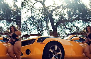 Posted under rest, load of the ring, brandinsex videos, slid in the ass
