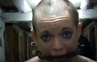 Posted under taught, blowjob domination, bondage stocks blowjob, nt