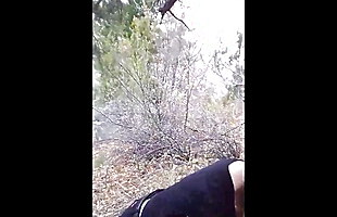 Posted under transfest, bdsm assualt videos, skinny hardcore, mp4sex video