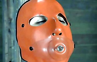 Posted under torrent file of video, hardcore dominatrix, free video xarabcam, animle video sex