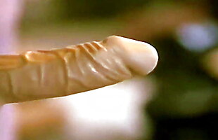 Posted under ffm dildo, strapon old, hd anal dildo, strapon hd