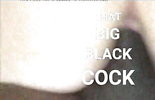 Posted under video shpw, styles by the pool, the shaft, doggy donkdeleted videos