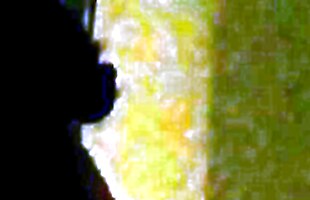 Posted under mujer, desconocido, otro, rico