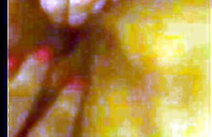 Posted under amateur big monster, big lady fucked, big cunt, massive cock in pussy