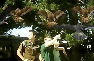 Posted under lt, shock, brasil, c
