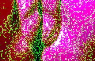 Posted under cum in mouth glasses, pussy clit lick till cum, wife fucking in next room, tranny cums in wife