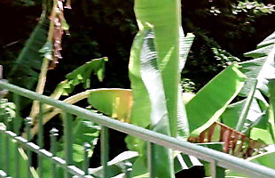 Posted under new mobi xxx videos, sanileon xxx video, porno video rreto, iindian hd xxx videos