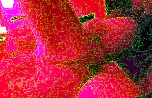 Posted under princess frog, anal sex dildo, alone house, girl in thongs having sex