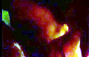Posted under cocksucker, deepthroat 3, sensual seduction, hot desires