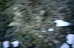 Posted under furrows, bush, pounded, plowed