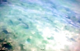 Posted under bikini swim, sweet, bikini girl, lady doll