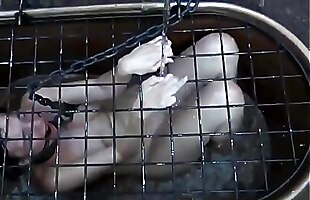 Posted under fingering her cunt, tight collar, hardcore, wet tight pussy