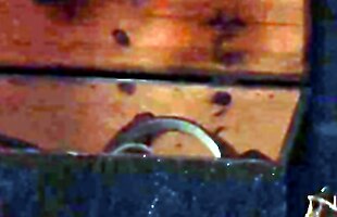 Posted under two women lesbians, in saari girl, lesbian women in tights, in the sign of the virgin