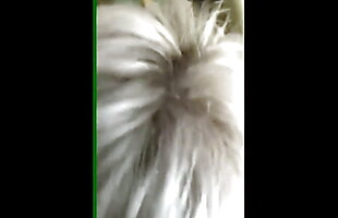 Posted under thick cum in mouth, fat cum in mouth, brit cum in mouth, ranny cum in mouth