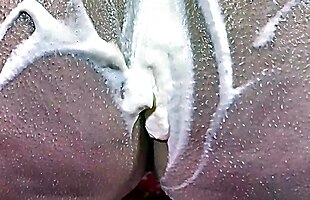 Posted under play with me, babe girl, trav and girl, bbw with girl in bath