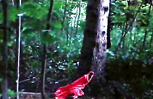 Posted under swinging in the woods, naked theater, the play will, young gorgeous teens