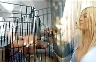 Posted under video onlien, casalingo, japanamex video, botsex video