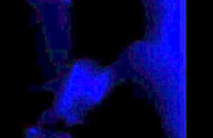 Posted under head bbc, sucking bbc, big blue, big boner