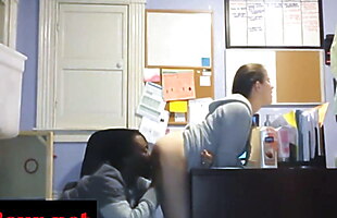 Posted under doggy style, busy work, business, au bureau