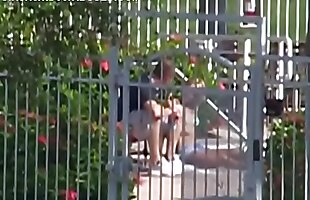 Posted under teen cumshot girl, amateur tattoo handjob, teen handjob, teen girl riding